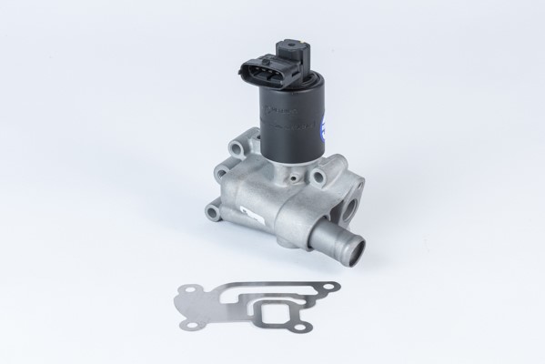 Egr-ventil Borgwarner (wahler) 710955R BorgWarner (Wahler)