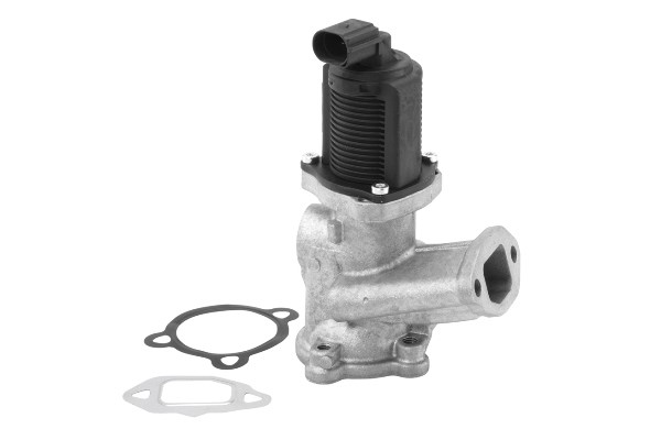 Egr-ventil Borgwarner (wahler) 710958R BorgWarner (Wahler)