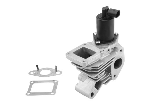 Egr-ventil Borgwarner (wahler) 710959R BorgWarner (Wahler)