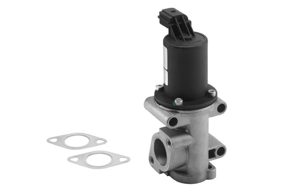 Egr-ventil Borgwarner (wahler) 710960R BorgWarner (Wahler)