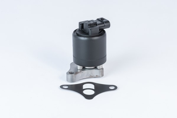 Egr-ventil Borgwarner (wahler) 710961R BorgWarner (Wahler)