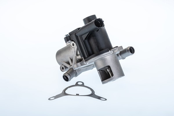 Egr-ventil, Nedre, Upptill Borgwarner (wahler) 710965R BorgWarner (Wahler)