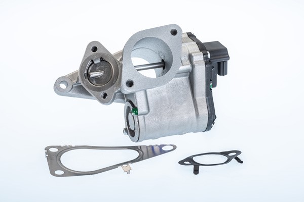 Egr-ventil Borgwarner (wahler) 710968R BorgWarner (Wahler) Egr-ventil Borgwarner (wahler) 710968R BorgWarner (Wahler)