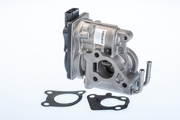 Egr-ventil, Fram Borgwarner (wahler) 710969R BorgWarner (Wahler)