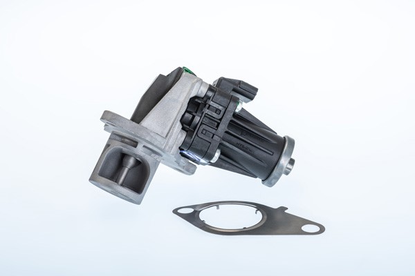 Egr-ventil Borgwarner (wahler) 710978R BorgWarner (Wahler)