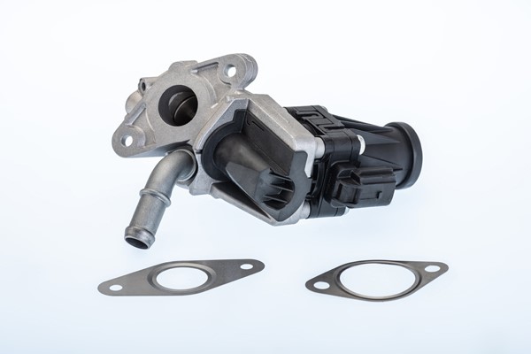 Egr-ventil Borgwarner (wahler) 710979R BorgWarner (Wahler)