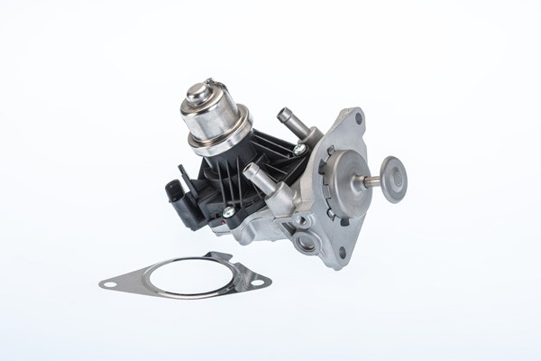 Egr-ventil Borgwarner (wahler) 710980R BorgWarner (Wahler)