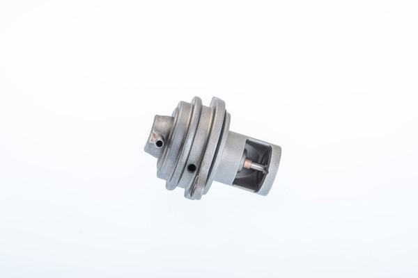 Egr-ventil Borgwarner (wahler) 710983R BorgWarner (Wahler)