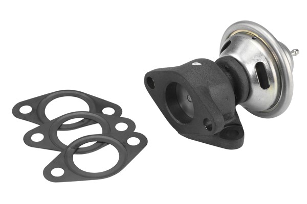 Egr-ventil Borgwarner (wahler) 7350D BorgWarner (Wahler)
