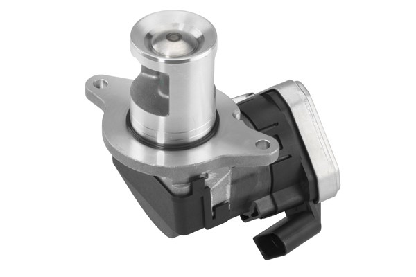 Egr-ventil Borgwarner (wahler) 7625D BorgWarner (Wahler)