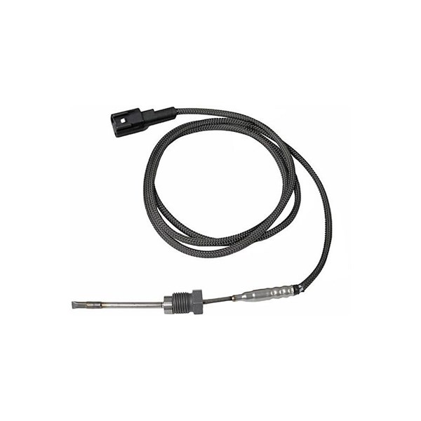 Sensor, avgastemperatur