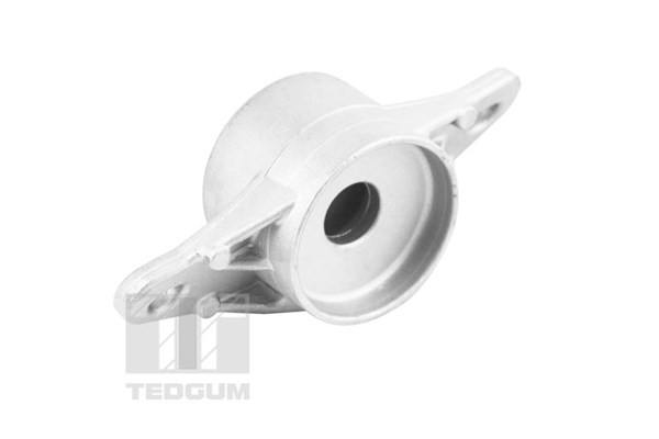 Fjäderbenslager, Bakaxel, båda sidor Tedgum TED42809 TEDGUM Fjäderbenslager, Bakaxel, båda sidor Tedgum TED42809 TEDGUM