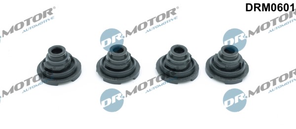 Packning, vippkåpa Dr.Motor Automotive