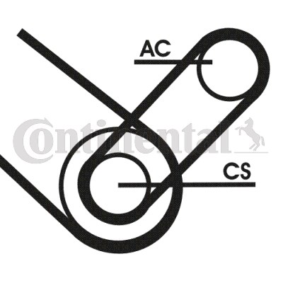 Drivremsats Contitech 4PK874 ELAST T1 CONTITECH Drivremsats Contitech 4PK874 ELAST T1 CONTITECH