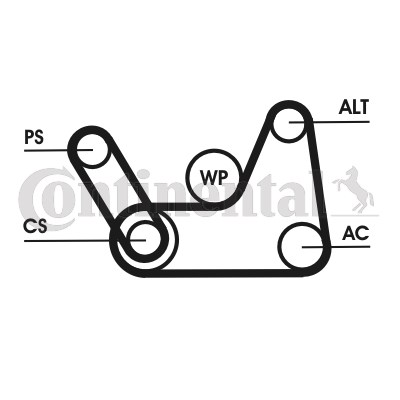 Drivremsats Contitech 6PK1019 ELAST T1 CONTITECH