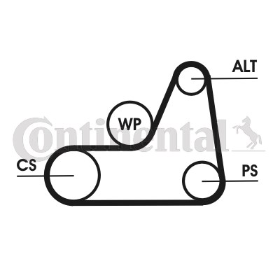 Drivremsats Contitech 6PK1042 ELAST T1 CONTITECH