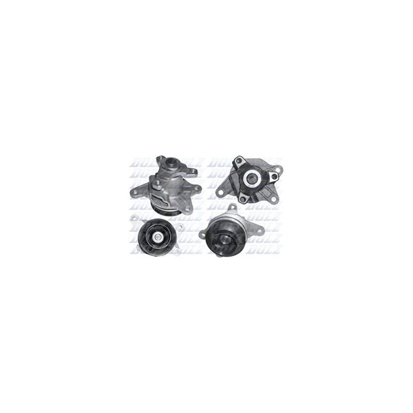 Vattenpump Dolz R239 DOLZ