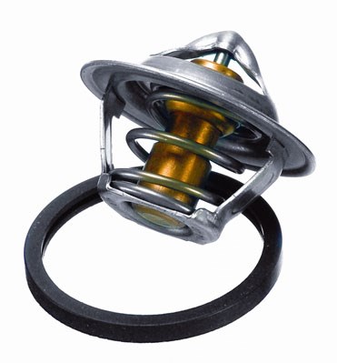 Termostat, kylvätska Borgwarner (wahler) 3017.87D2 BorgWarner (Wahler)