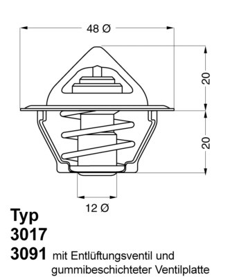 Termostat, kylvätska Borgwarner (wahler) 3017.92D2 BorgWarner (Wahler)