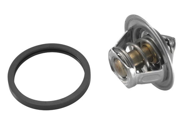 Termostat, kylvätska Borgwarner (wahler) 3017.92D2 BorgWarner (Wahler)