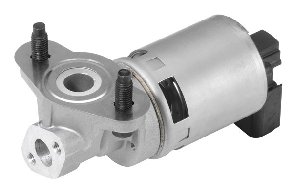 Egr-ventil Borgwarner (wahler) 710633D BorgWarner (Wahler)