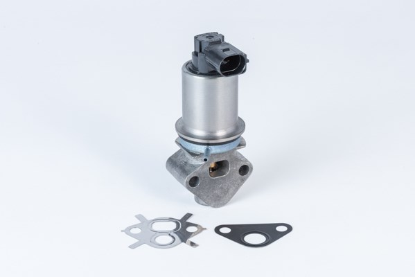 Egr-ventil Borgwarner (wahler) 710780D0 BorgWarner (Wahler)