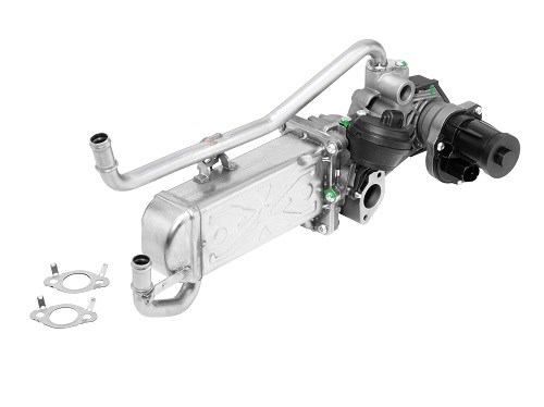 EGR-modul Borgwarner (wahler) 710863R BorgWarner (Wahler)