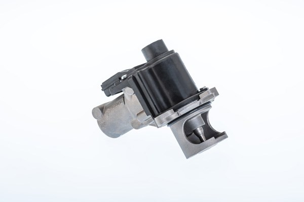 Egr-ventil, Tvåsidig Borgwarner (wahler) 710977R BorgWarner (Wahler) Egr-ventil, Tvåsidig Borgwarner (wahler) 710977R BorgWarner (Wahler)