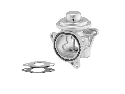 Egr-ventil Borgwarner (wahler) 7496D BorgWarner (Wahler) Egr-ventil Borgwarner (wahler) 7496D BorgWarner (Wahler)