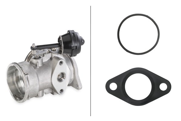 Egr-ventil Hella 6NU 010 171-641 HELLA