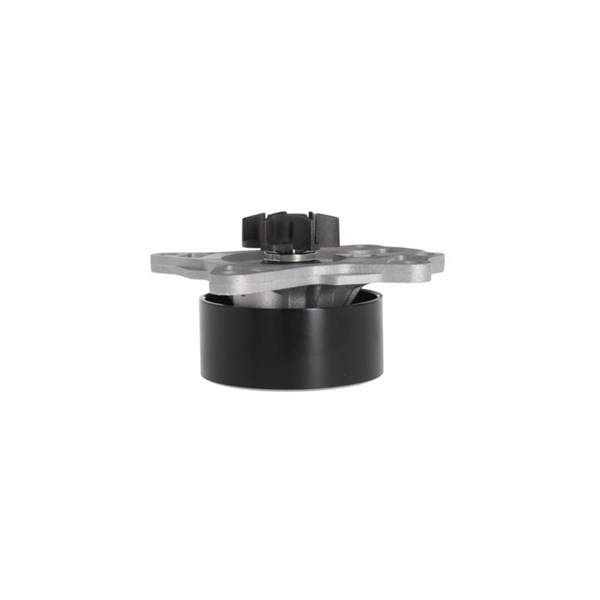Vattenpump Valeo 529521 VALEO