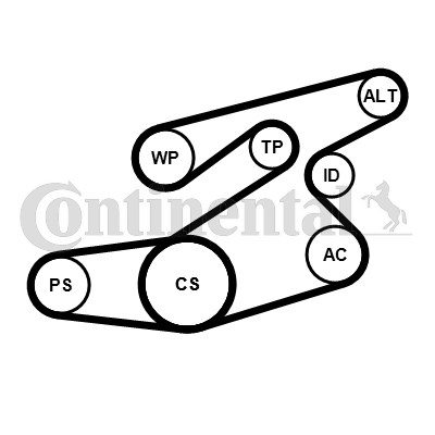 Drivremsats Contitech 6PK1836K1 CONTITECH