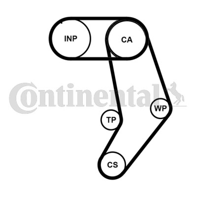 Kamremskit med vattenpump Contitech CT939WP10PRO CONTITECH
