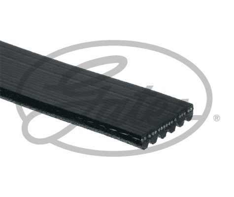 Drivremsats Gates Drivealignâ® K016PK1061EST Gates Drivremsats Gates Drivealignâ® K016PK1061EST Gates