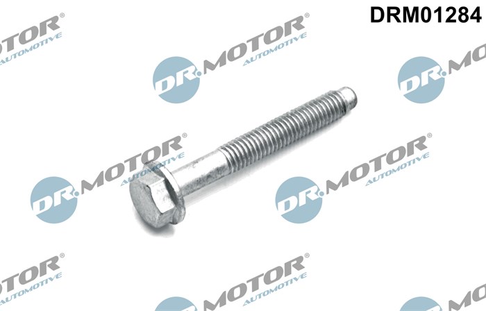 Skruv, spridarhållare Dr.motor automotive DRM01284 Dr.Motor Automotive Skruv, spridarhållare Dr.motor automotive DRM01284 Dr.Motor Automotive