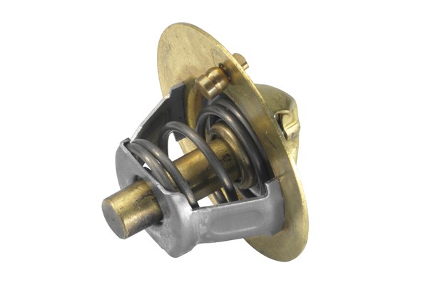 Termostat, kylvätska Borgwarner (wahler) 3119.88 BorgWarner (Wahler)