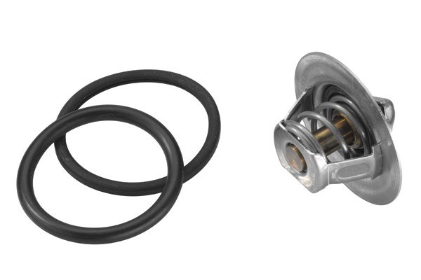 Termostat, kylvätska Borgwarner (wahler) 3470.89D50 BorgWarner (Wahler)