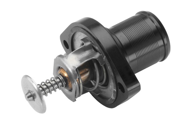 Termostat, kylvätska Borgwarner (wahler) 3483.89D BorgWarner (Wahler)