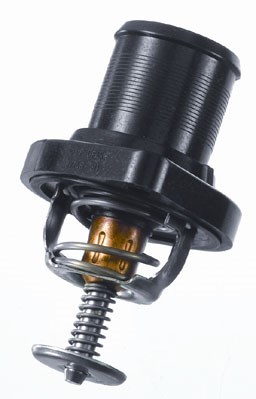 Termostat, kylvätska Borgwarner (wahler) 3483.89D BorgWarner (Wahler)