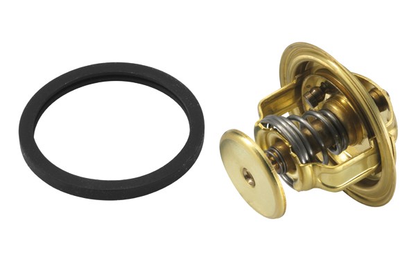 Termostat, kylvätska Borgwarner (wahler) 4022.88D BorgWarner (Wahler)