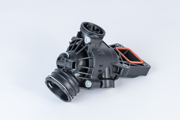 Termostat, kylvätska Borgwarner (wahler) 410390.103D BorgWarner (Wahler)