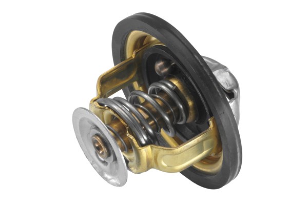 Termostat, kylvätska Borgwarner (wahler) 4174.82D BorgWarner (Wahler)