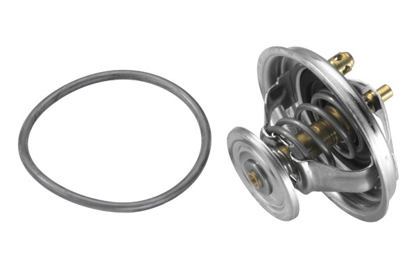 Termostat, kylvätska Borgwarner (wahler) 4455.80D BorgWarner (Wahler)