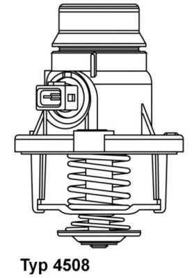 Termostat, kylvätska Borgwarner (wahler) 4508.101D BorgWarner (Wahler)