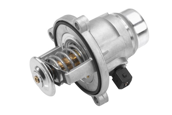 Termostat, kylvätska Borgwarner (wahler) 4508.101D BorgWarner (Wahler)