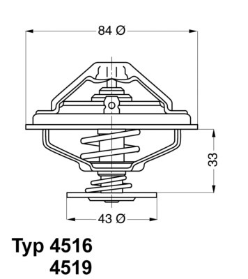 Termostat, kylvätska Borgwarner (wahler) 4516.85D BorgWarner (Wahler)