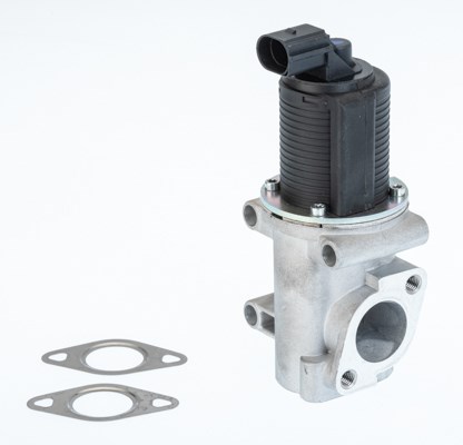 Egr-ventil Borgwarner (wahler) 710774D/1 BorgWarner (Wahler)