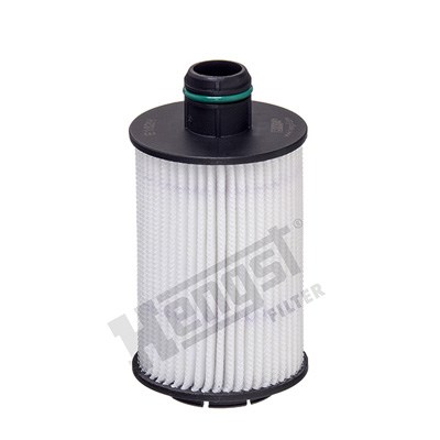 Oljefilter Hengst filter E162H D249 HENGST FILTER