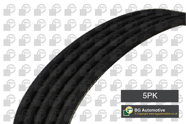 Drivrem Bga 5PK1219 BGA
