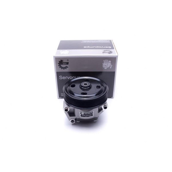 Servopump Esen skv 10SKV309 ESEN SKV